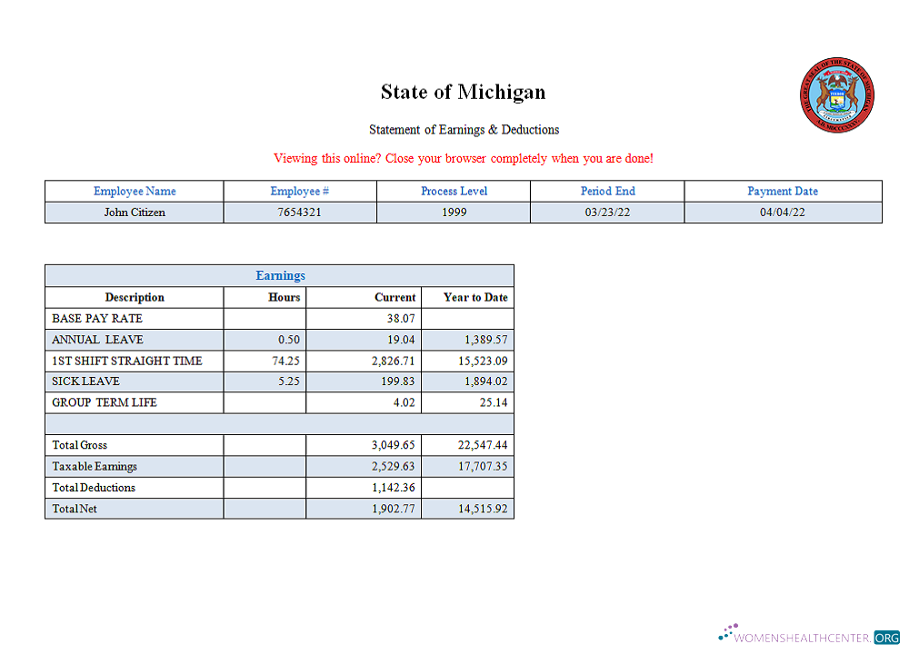 Download USA State of Michigan social services company pay stub Photoshop template